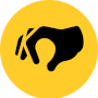 Chiropractic Result Oriented Decisions